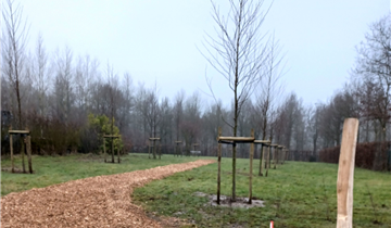 Groene begravingen op stedelijke begraafplaats vanaf de lente